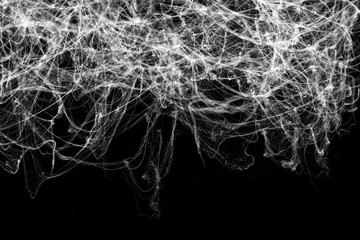 Tangled spider's web on isolated black background for Halloween design. White cobweb for applying in screen blend mode on any concept