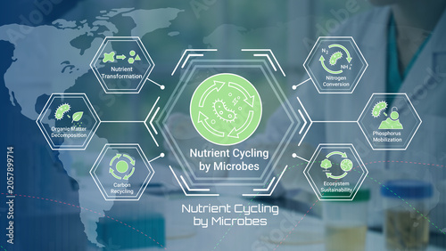 Fotografie Illustration showing nutrient cycling processes driven by microbes in ecosystems