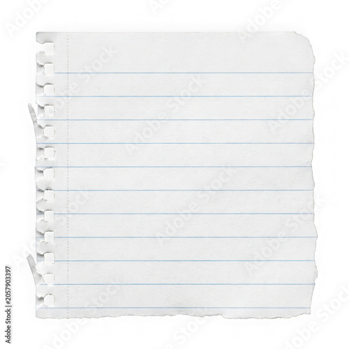 Single sheet of lined notebook paper with torn spiral edge