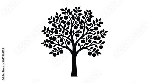 Apple tree with fruit black silhouette on white background