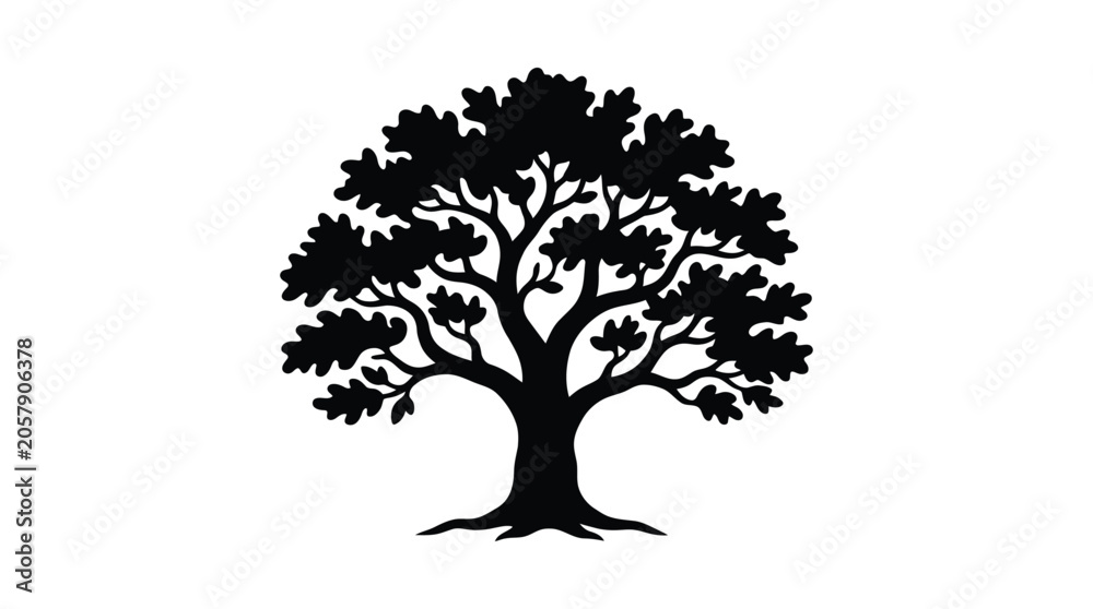 Fototapeta premium Oak tree silhouette against a white background silhouette
