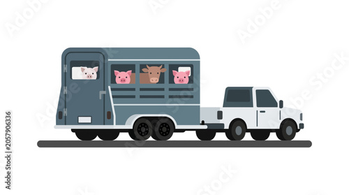 Livestock Trailer Truck Transporting Farm Animals: Pigs and Cow
