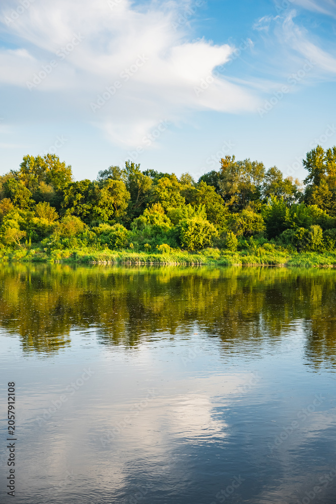 Fototapeta premium a landscape with a reflection of the plants growing along the banks of the Bug River in Podlasie