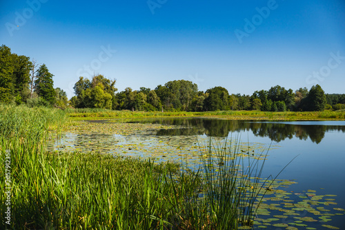 Fotografie a meandering lake with calm, mirror-like waters in which the landscape is reflec