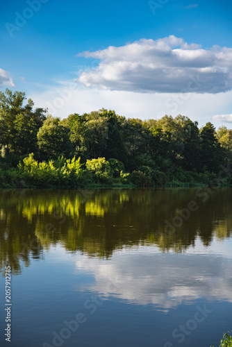 Landscape of the banks of the Bug River overgrown with forests and bushes