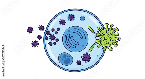 Schilderij op canvas Virus attacking a cell biology.