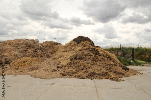 a pile of horse manure in the countryside in springtime