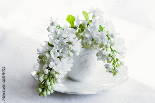 White lilac in a white teacup on a table on a sunny day