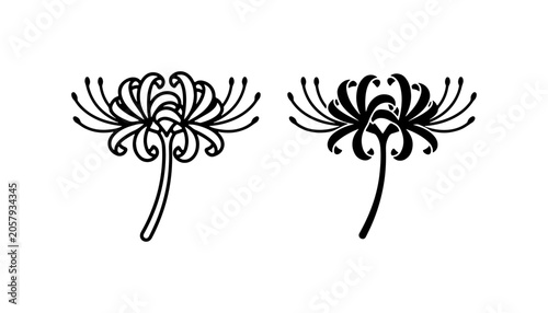 Valokuva Red Spider Lily Vector Icons, Delicate Floral Silhouette Graphics
