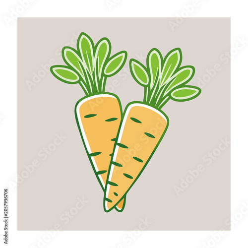Two fresh carrots with green tops illustration