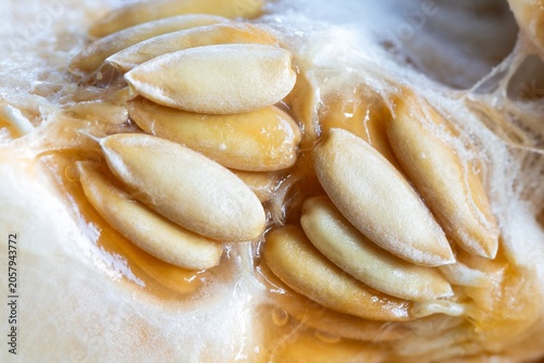 Fotografie Honeydew melon seeds and pulp, close-up.