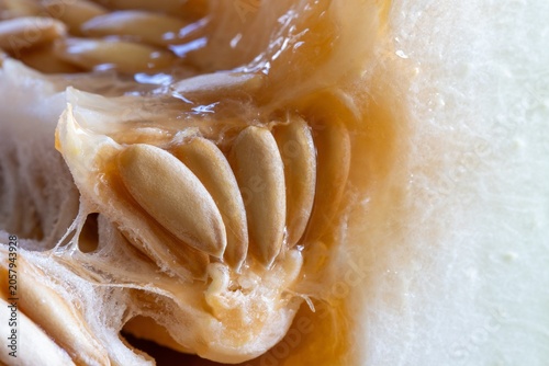 Slika na platnu Honeydew melon seeds and pulp, close-up.