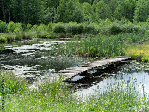 Wooden bridge leading across ponds and swamps.
