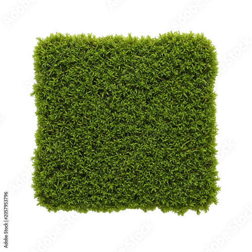 Green grass square patch isolated.