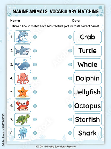 Marine animals vocabulary matching worksheet for students featuring numbered sea creatures including dolphin, shark and whale