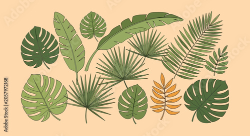 Tropical Leaves Collection: Exotic Plants, Botanical Illustration, Jungle Foliage