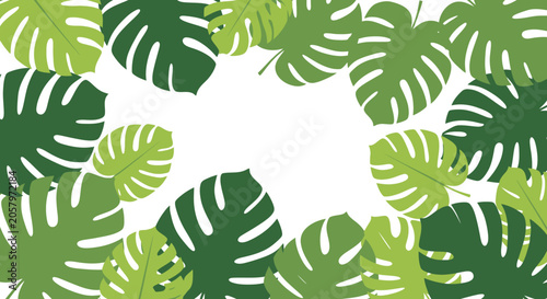 Tropical Monstera Leaves Frame - Green Foliage Border on White Background