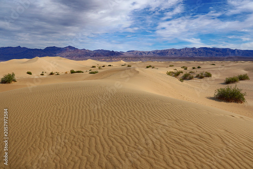 Patterns in the sand at Mesquite Flat Sand Dunes in Death Valley National Park