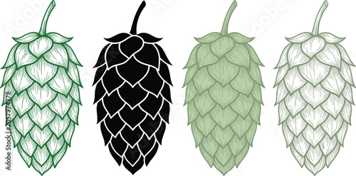 Obraz na plátne Hop cone botanical illustration set with green, black, light, pale variations, b