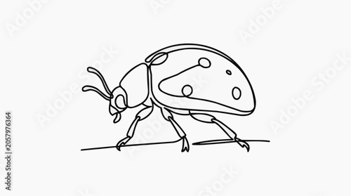 Ladybug Outline on Leaf