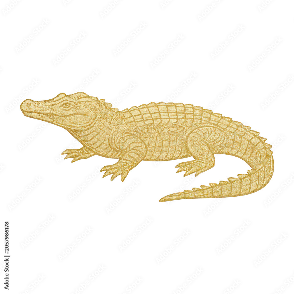 Fototapeta premium PNG Golden alligator illustration art