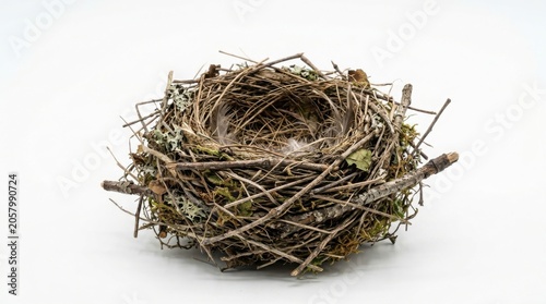 Empty bird nest made of twigs and dry grass on white background minimalist composition