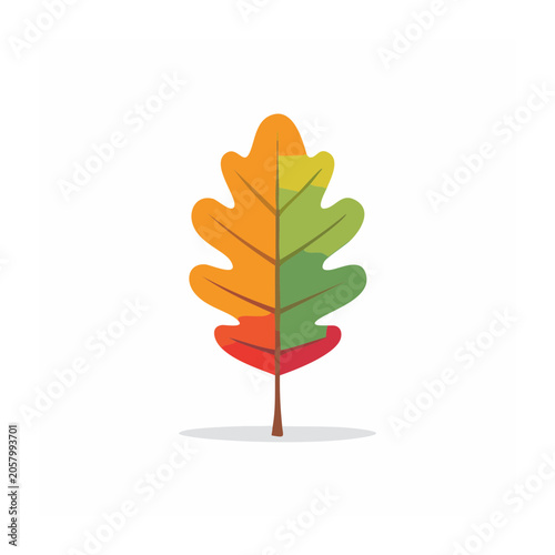 Flat design tulip flower vector illustration