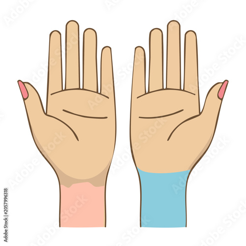 Flat design illustration of two human hands