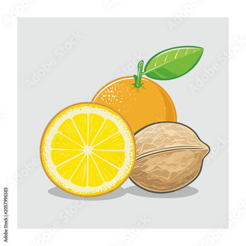 Illustration of orange, lemon slice, and walnut