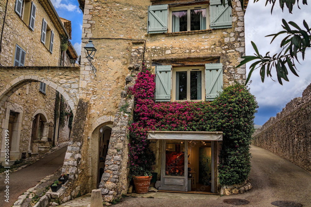 Fototapeta premium Bougainvilia and jasmine on an old window, Saint Paul de Vence, South of France