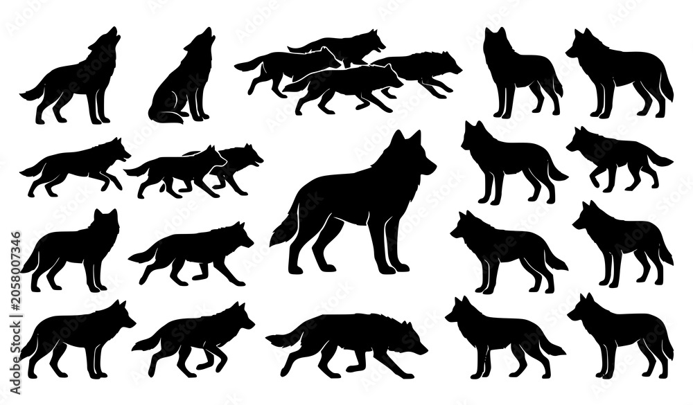 Obraz premium Wild wolf silhouette outline collection vector illustration