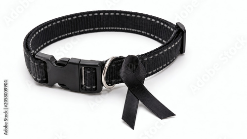 Pet Memorial Collar With Black Remembrance Ribbon