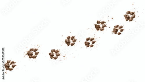 Muddy Paw Prints Trail Isolated On White Background