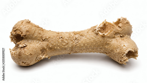 Chewed Dog Bone Toy Isolated On White Background