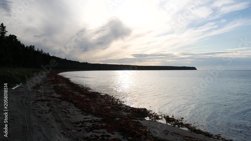 View of the Beach at Low Tide with Seaweed Patterns, Dense Coniferous Forest Cliff Edge, Coastal Road, Gulf of St. Lawrence Waters, Overcast Sky, Anticosti Island Shoreline, Quebec, Canada