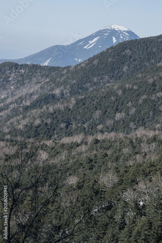 Snow-capped mountain peak rising above dense conifer forest in winter landscape, Japanese Alps scenic view