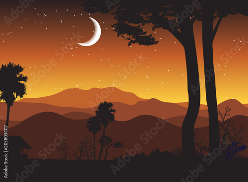 Crescent Moon at Night