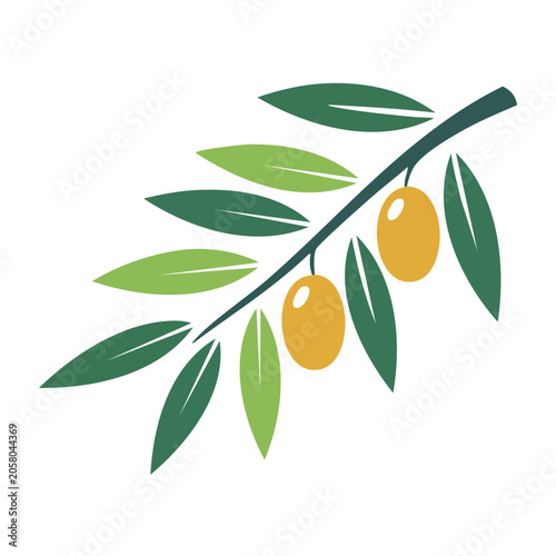Flat design olive branch with olives and leaves