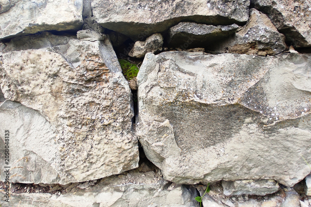 Fototapeta premium Natural grey stone wall texture with green moss in the crevice