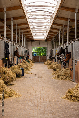 Foto Interior view of a modern horse stable with horses standing in individual stalls and hay placed along the central aisle