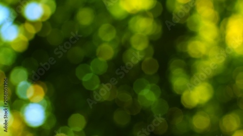 Fotografia Abstract blurred green and yellow bokeh background nature outdoor ambiance
