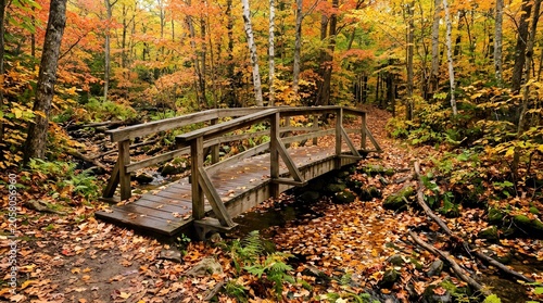 A Rustic Wooden Footbridge Nestled Within A Vibrant Autumn Forest Scene With Colorful Fallen Leaves Covering A Peaceful Woodland Hiking Trail