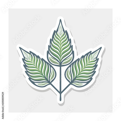 Flat design maple leaf illustration