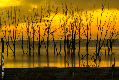 Photos SUBMERGED FOREST - SILHOUETTES BETWEEN WATER AND THE FIRE OF THE SKY