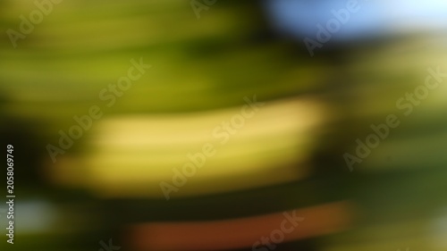 Blurred motion of vibrant green and yellow nature scene with hints of warm sunlight