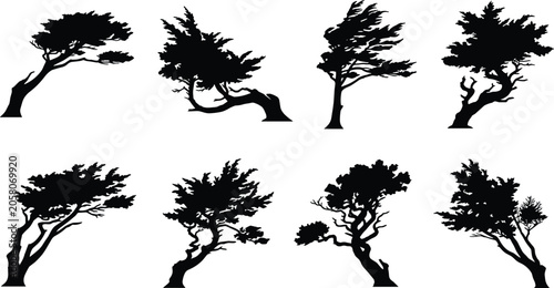 Obraz na plátně Collection of windswept coastal tree silhouettes featuring leaning cypress and p