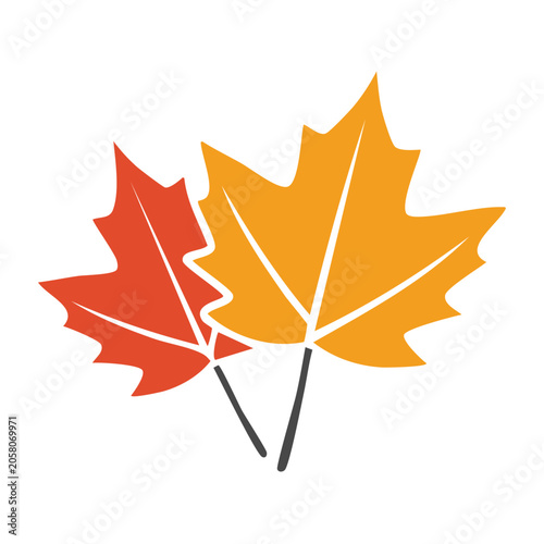 Flat design maple leaf vector icon