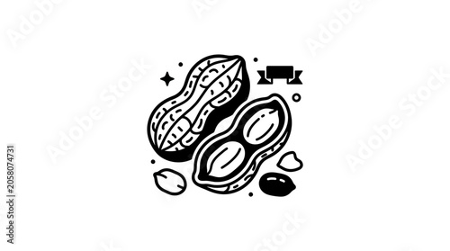 Hand drawn illustration of peanuts in shells and kernels.