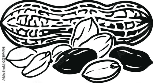 A black and white illustration of a peanut in its shell with several shelled peanuts scattered below.