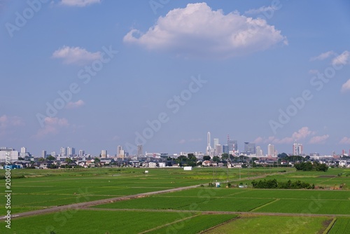Rice fields surrounding a suburban Japanese city under blue sky
